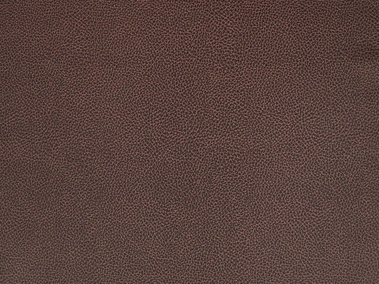 Seat cushion, chair cushion, chair pad 43 x 42 cm Cardine cushion with Velcro closure prairie brown - Image 5