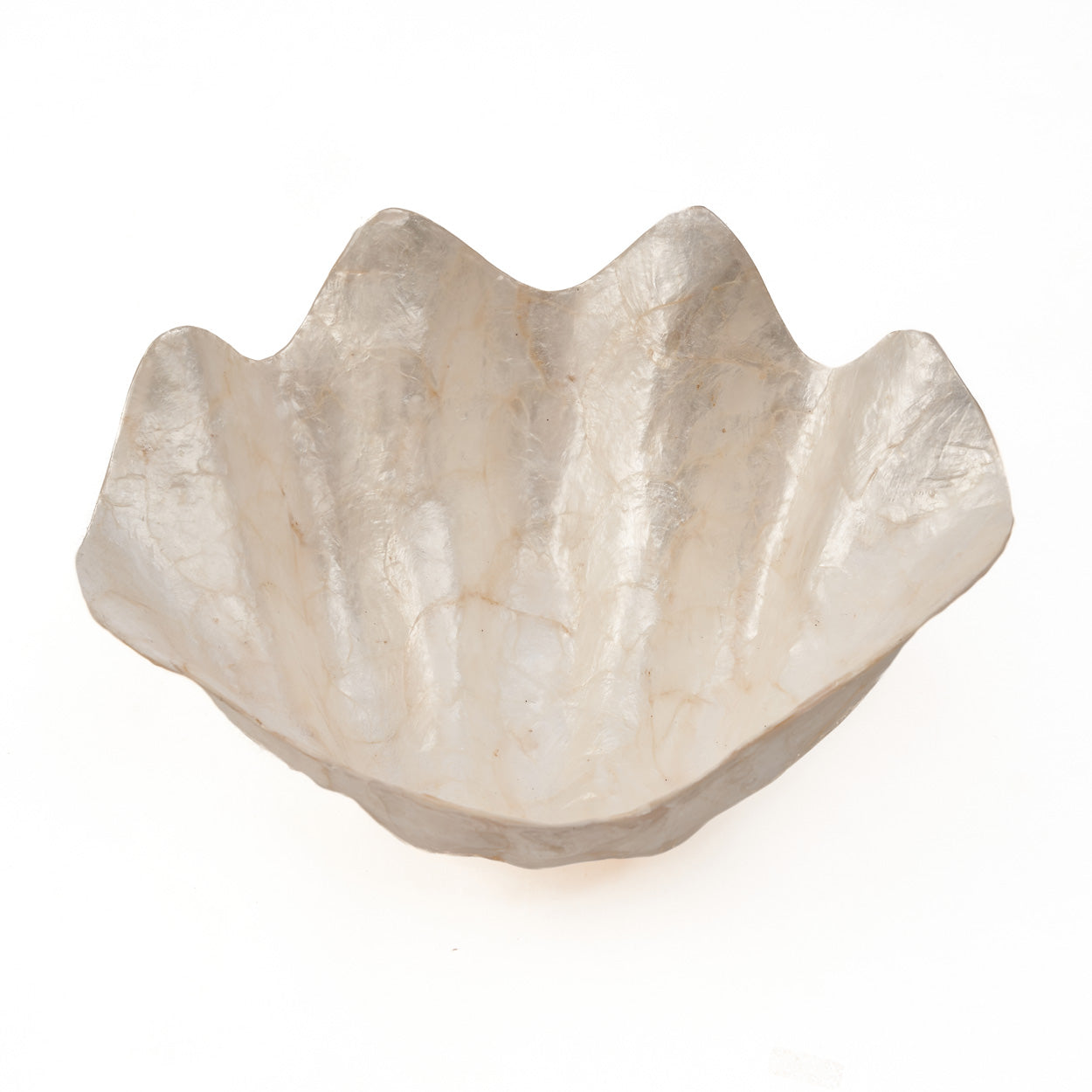 Mother-of-Pearl Soap Dish - White - M - Image 5