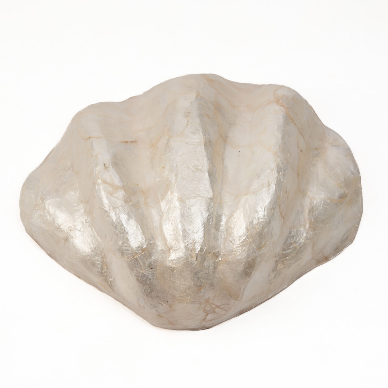 Mother-of-Pearl Soap Dish - White - M - Image 6